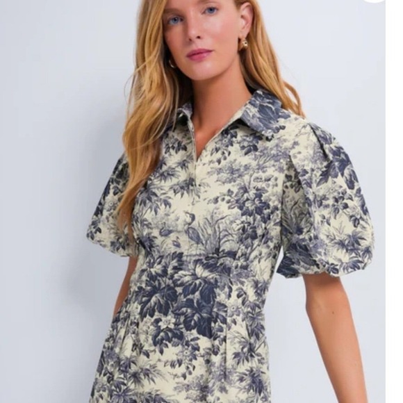Tuckernuck Delaney Toile Print Dress Women XL Blue Cream Short Sleeve Pockets - Picture 3 of 13